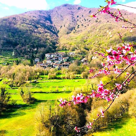 Casa Sittaro Villa Grimacco Dış mekan fotoğraf