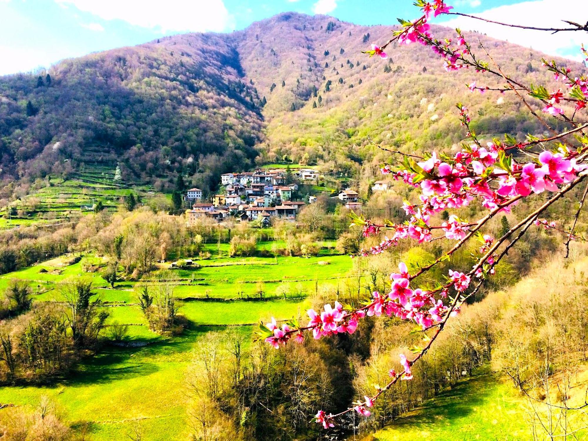 Casa Sittaro Villa Grimacco Dış mekan fotoğraf