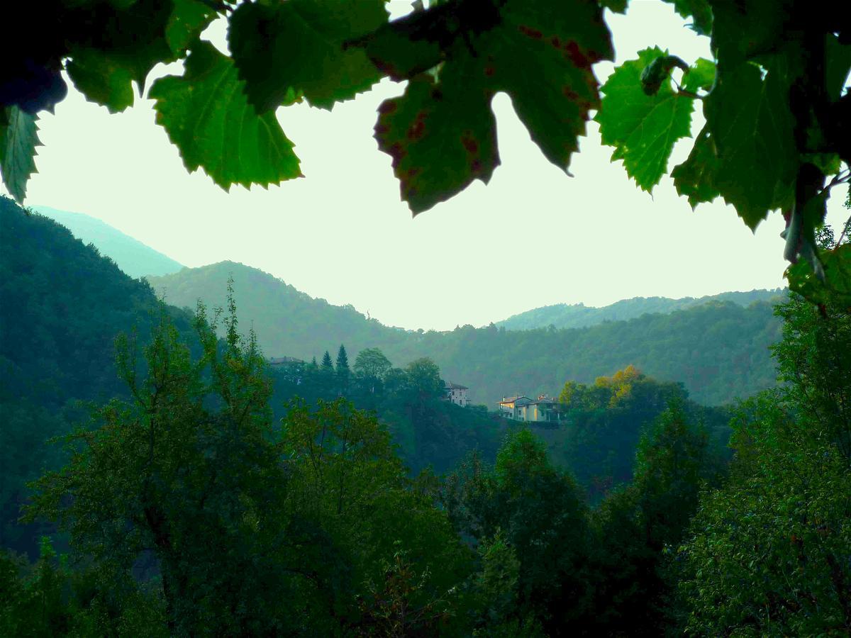 Casa Sittaro Villa Grimacco Dış mekan fotoğraf